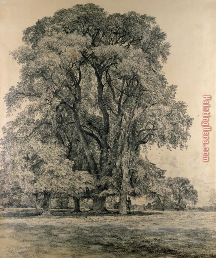 John Constable Elm trees in Old Hall Park painting anysize 50% off