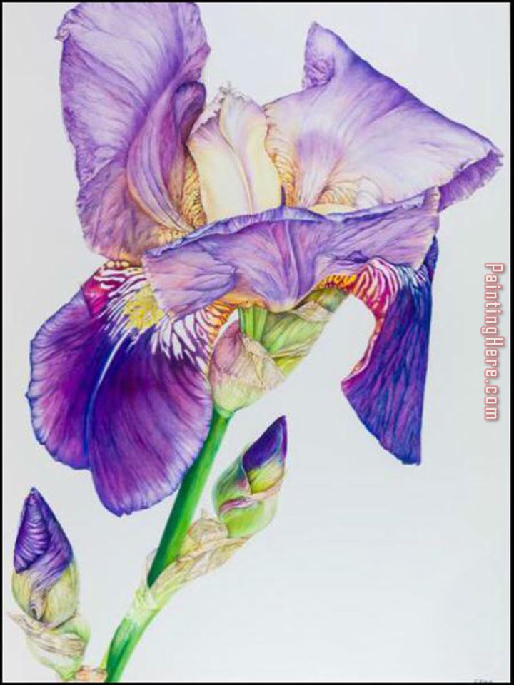 Unknown Artist Purple Flower